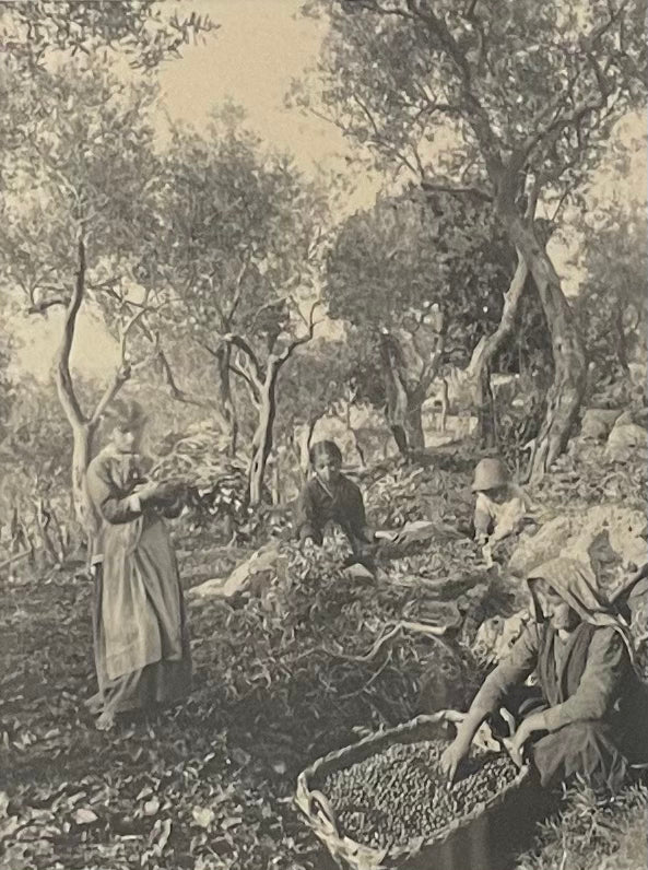 James W. Holcombe - Anacapri, Italien, um 1890